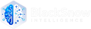BlackSnow Intelligence